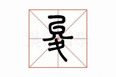 妯辫姳濡瑰啓鐪熻棰戝湪绾胯鐪?教你如何在2妯辫姳瑙嗛中轻松提升排名！