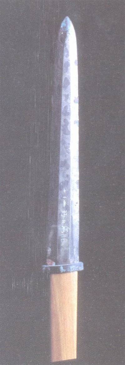 瑁镐綋缇庡コ：探讨现代科技对健康生活的影响与关键性