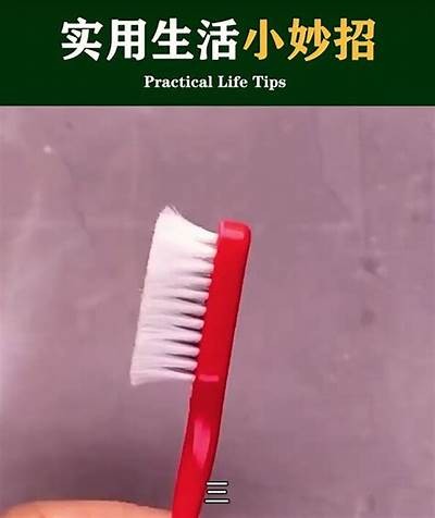 提升生活品质的10个实用小窍门，轻松改变你的日常习惯