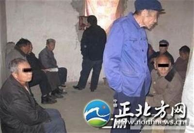 91国产青蛙视频：高清精彩瞬间尽在这里