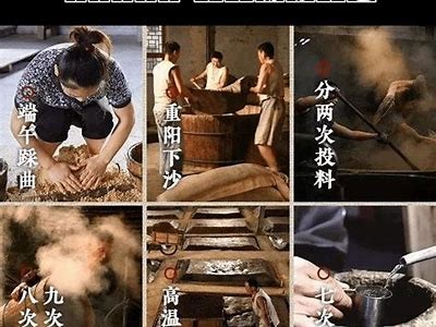 揭秘国产精酿啤酒技术：从原料到酿造全流程视频